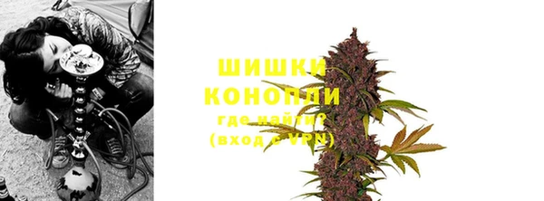 PSILOCYBIN Волосово